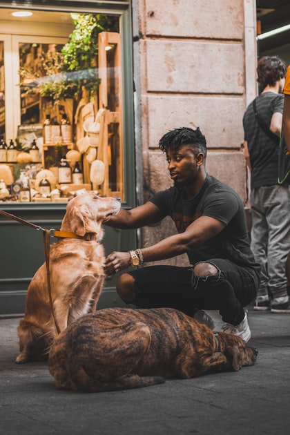 Volunteer Opportunities with Therapy Animals